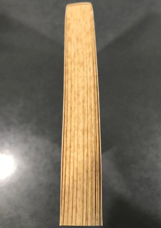 A Strange Manuscript Found in a Copper Cylinder