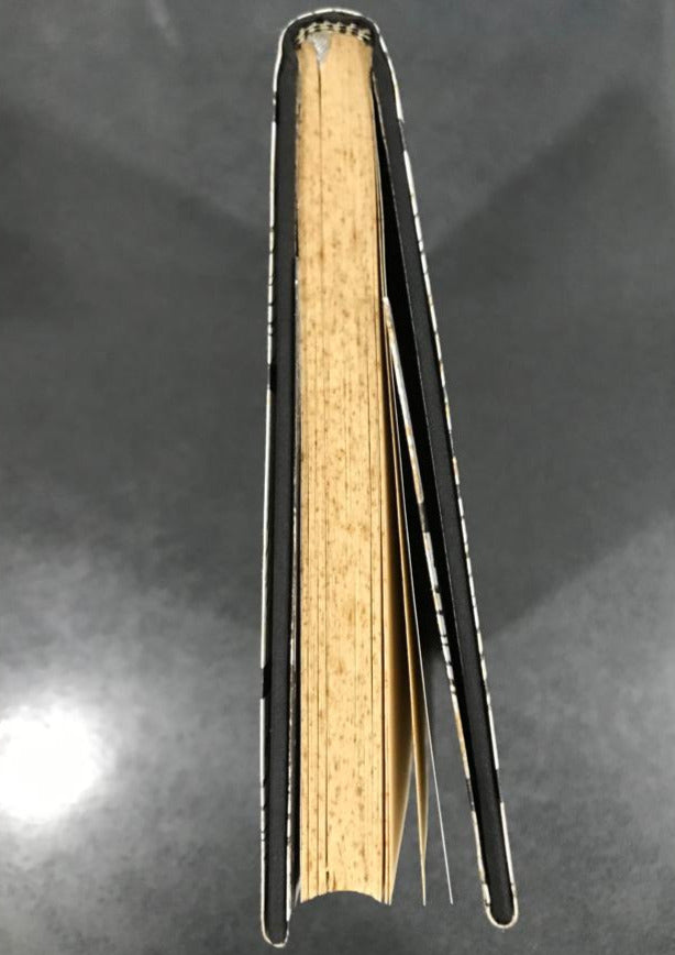 The Diving Bell and the Butterfly (Limited Edition)