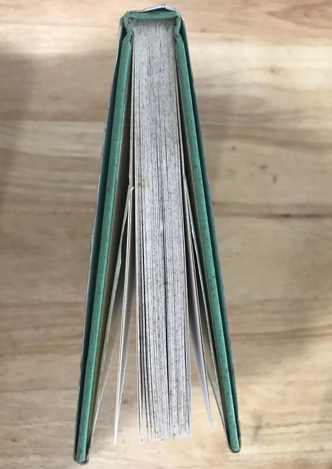 Gnat Stokes and the Foggy Bottom Swamp Queen