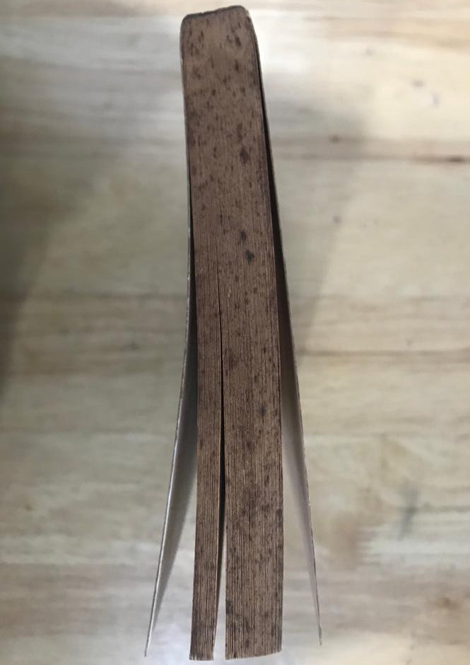 The Great Ghost Rescue