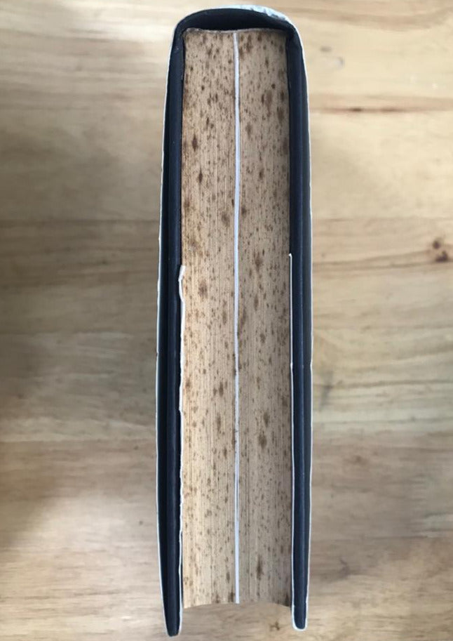 The Black Death: An Intimate History