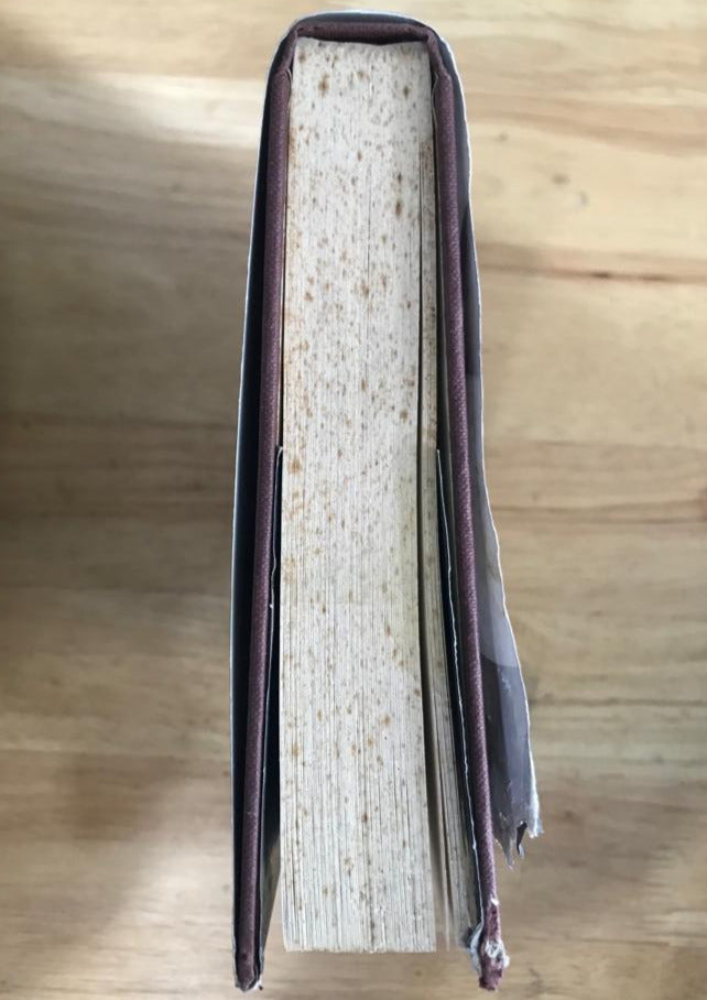 Manhood: The Rise and Fall of the Penis