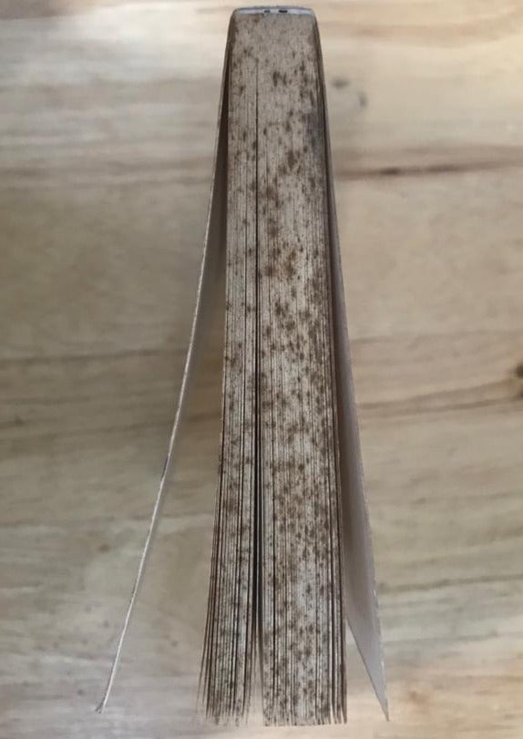 Sun After Dark: Flights into the Foreign