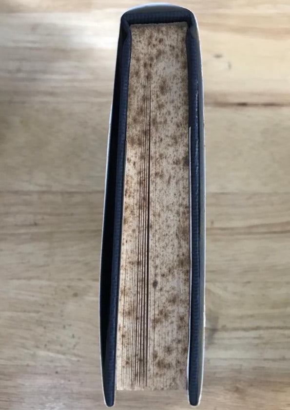 The Sleepyhead's Bedside Companion