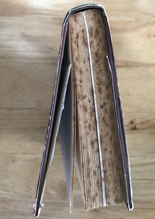 Cyrano: The Life and Legend of Cyrano de Bergerac