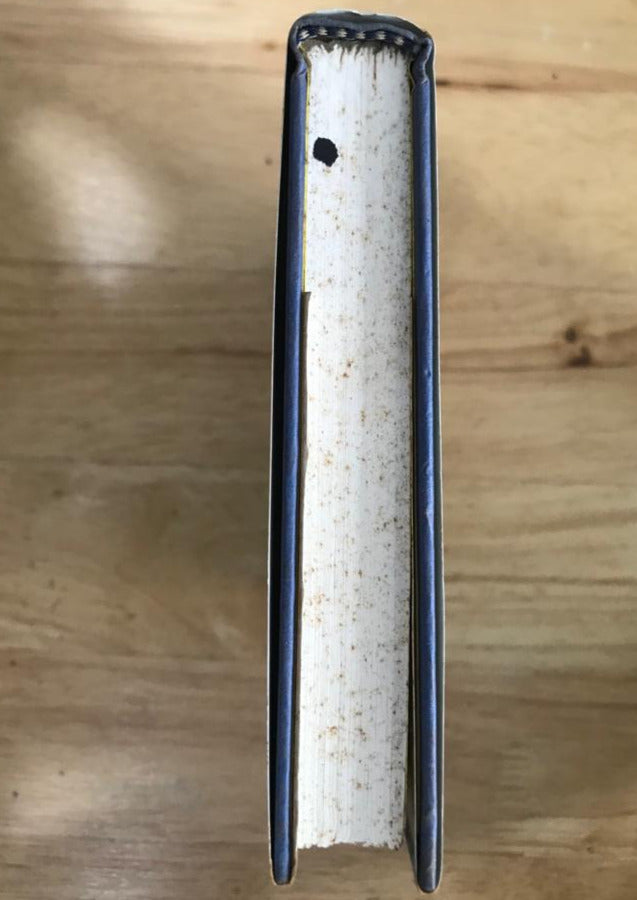 The Yellow-Lighted Bookshop