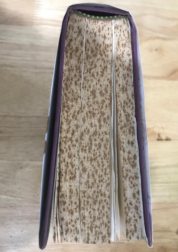 Prince of Stories: The Many Worlds of Neil Gaiman