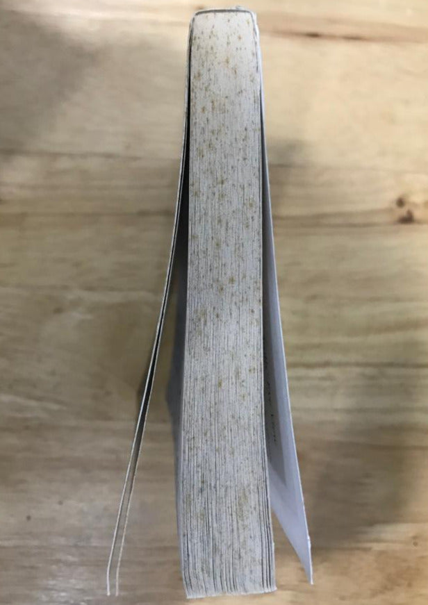 Troll's-Eye View: A Book of Villainous Tales