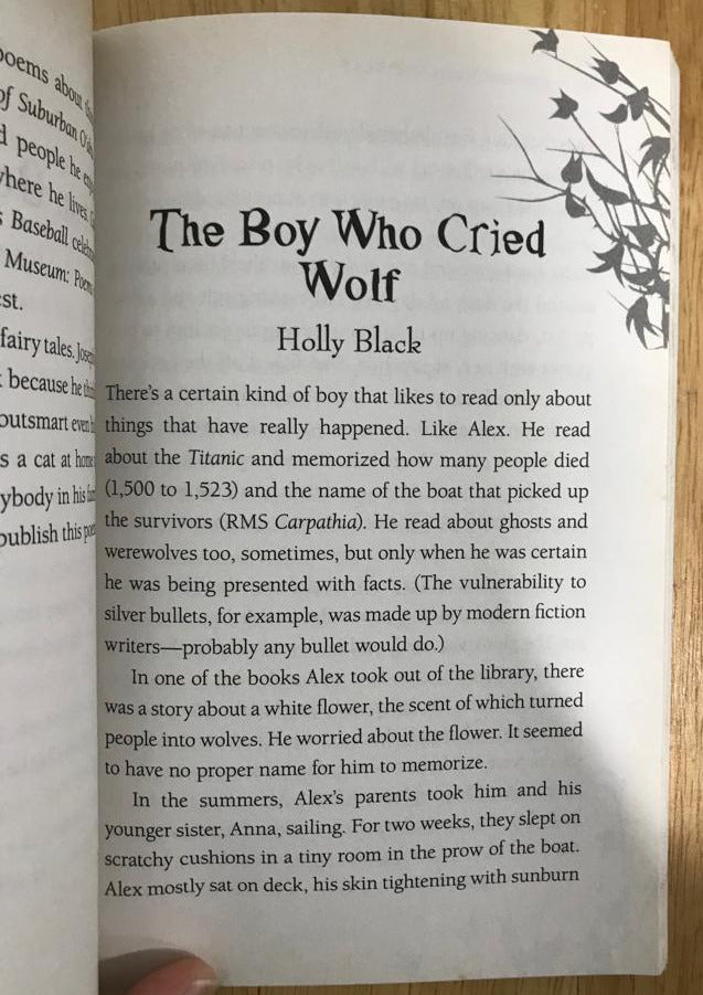 Troll's-Eye View: A Book of Villainous Tales
