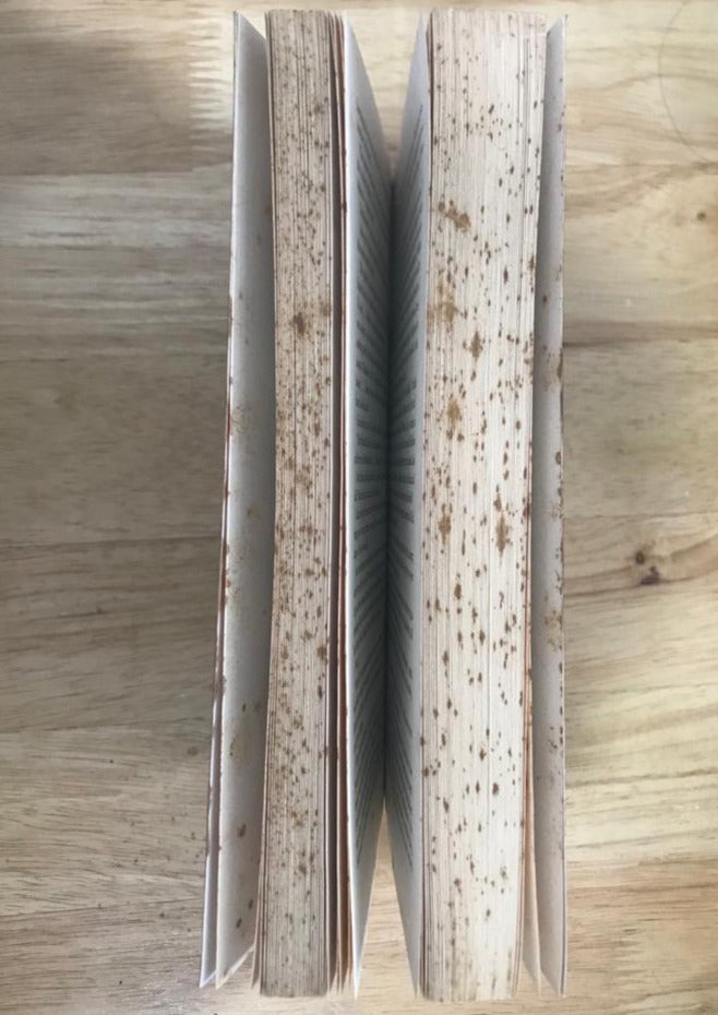 Vlad: The Last Confession