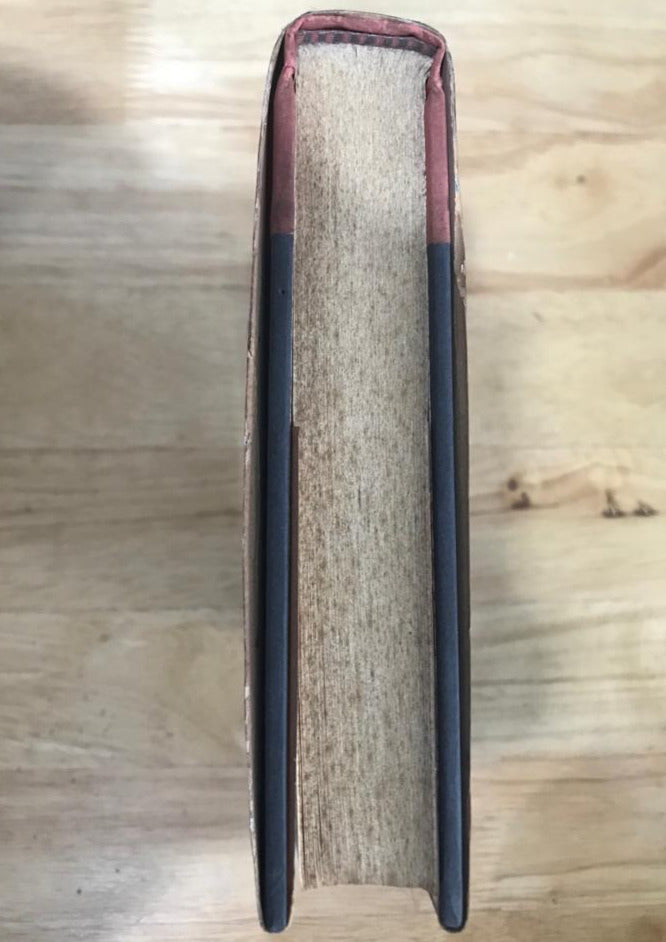 Mysterous Cat Stories