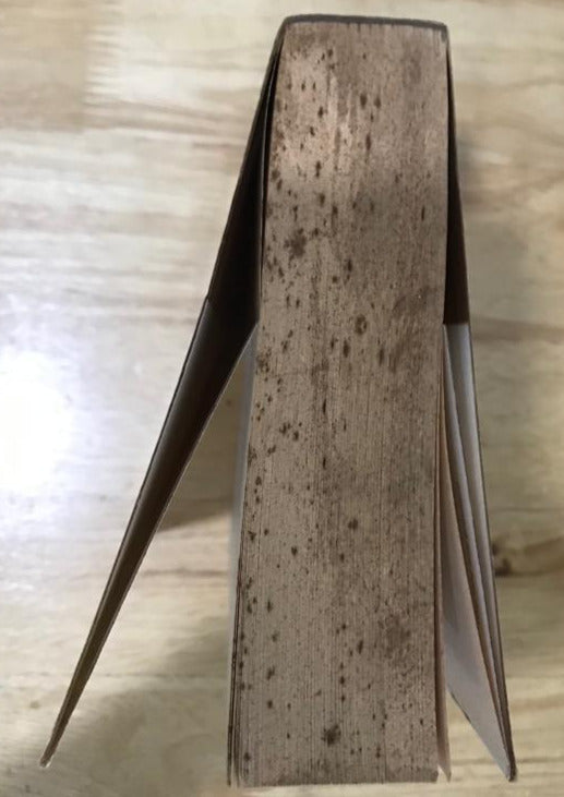 Dracula's Guest: A Connoisseur's Collection of Victorian Vampire Stories