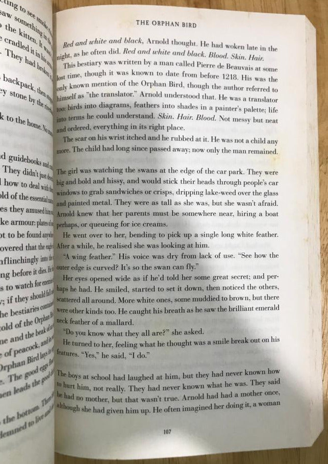 Black Feathers: Dark Avian Tales