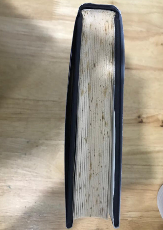 Dark Life: Martian Nanobacteria, Rock-Eating Cave Bugs, and Other Extreme Organisms of Inner Earth and Outer SpaceDark Life