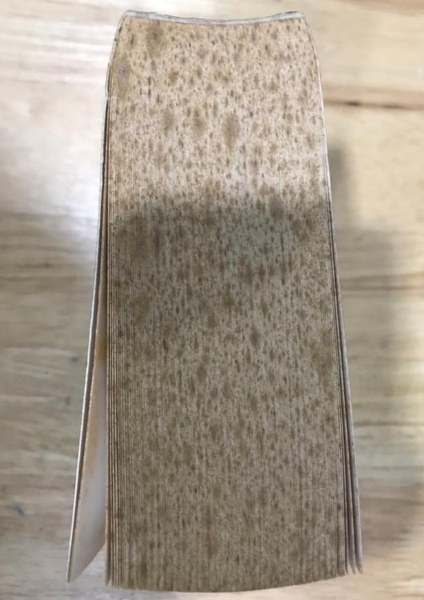 The Nekropolis Archives: The Complete Matt Richter Collection