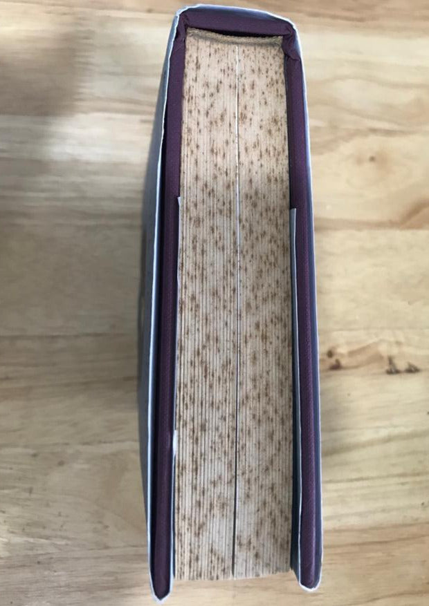 The Adventures of Arthur Conan Doyle