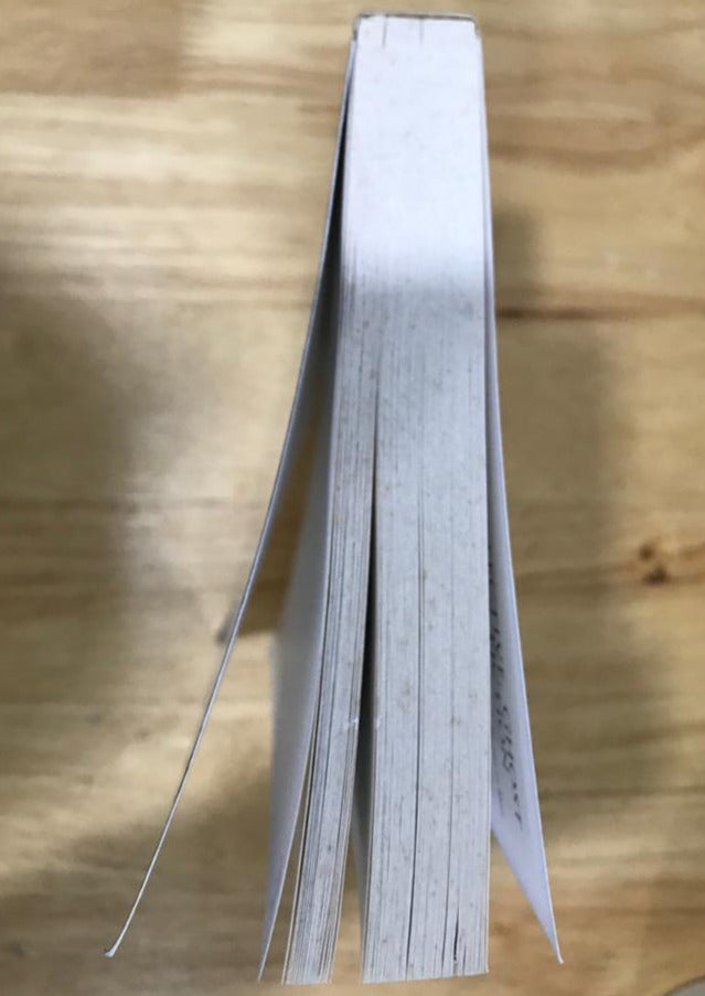 The Haunted Monastery and The Chinese Maze Murders: Two Chinese Detective Stories with 27 Illustrations by the Author