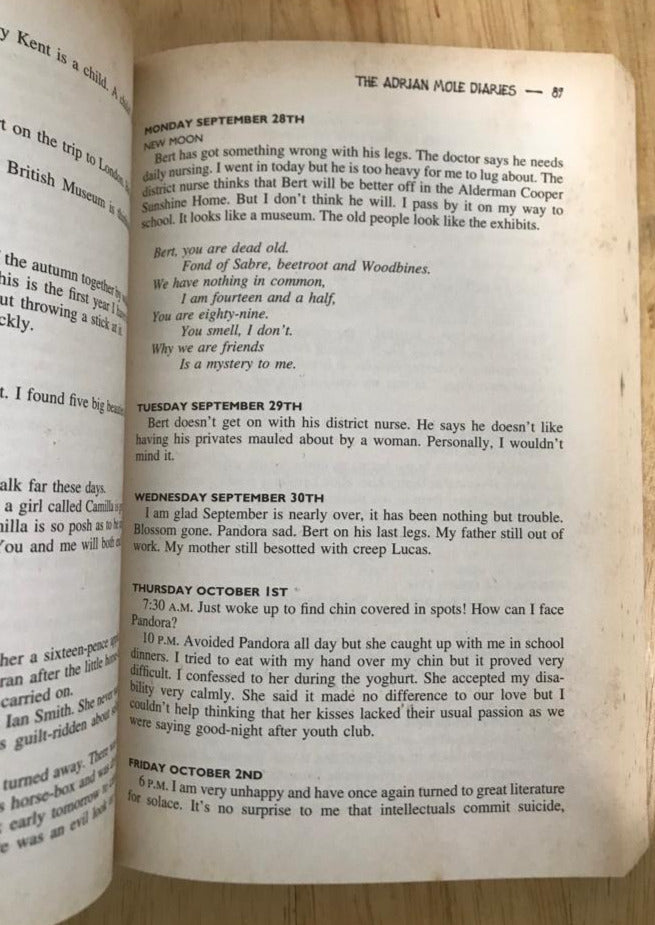 The Adrian Mole Diaries: The Secret Diary of Adrian Mole, Aged 13 3/4