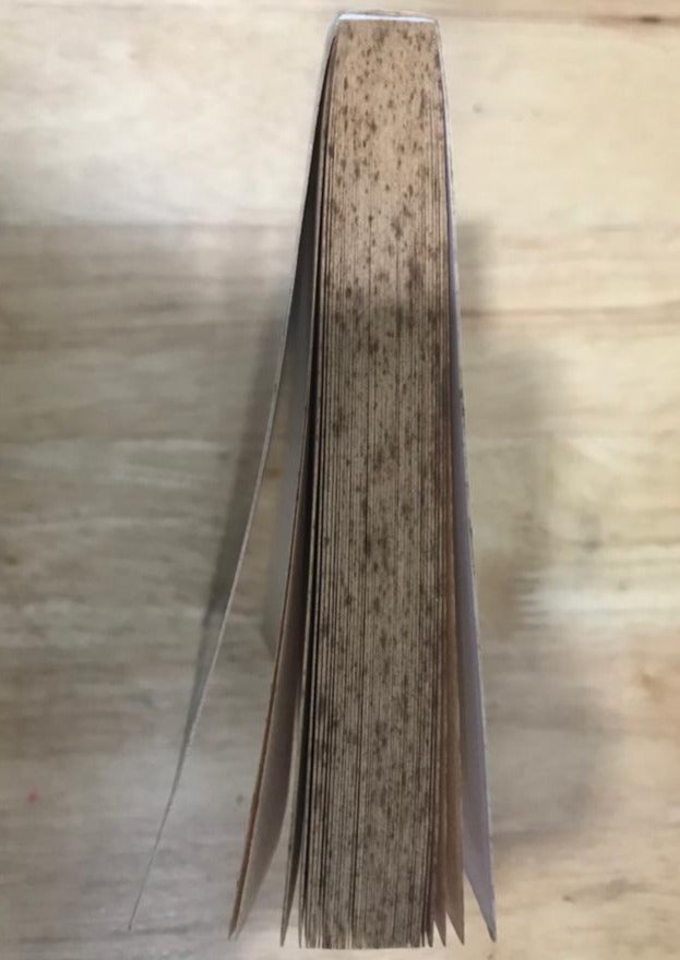 Making the Cat Laugh: One Woman's Journal of Single Life on the Margins