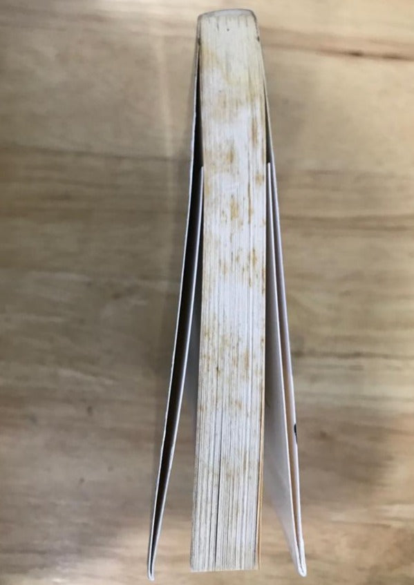 The Ten Loves of Mr Nishino