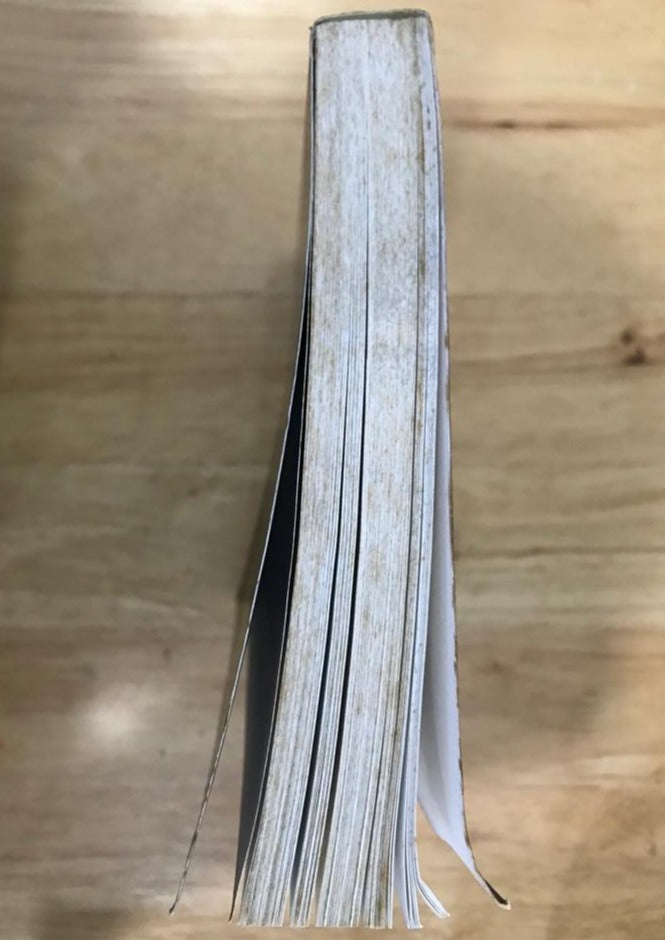 The Sandman Companion: A Dreamer's Guide to the Award-Winning Comic Series