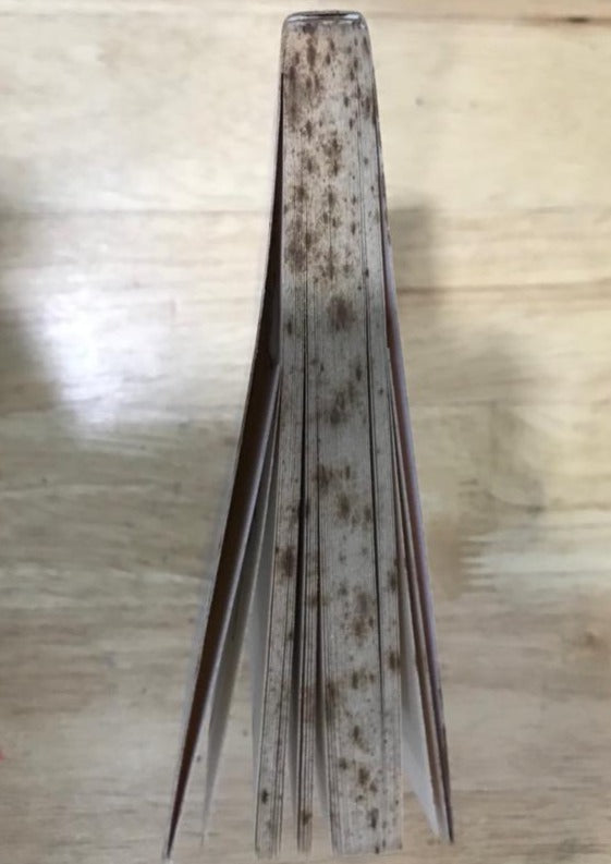 The Rights of the Reader