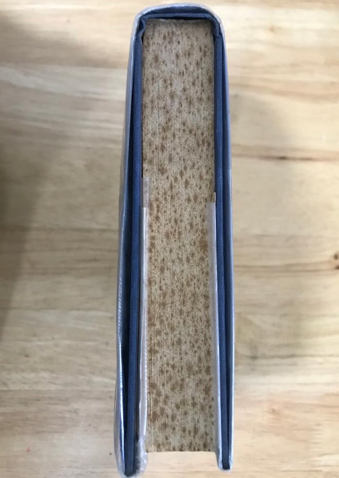 Green Shadows, White Whale