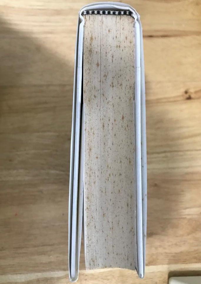 Three Moments of an Explosion: Stories