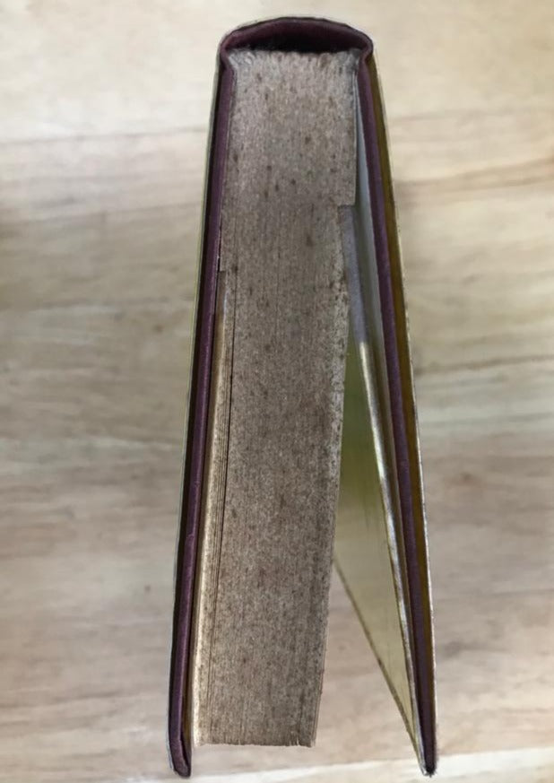 Fireflood & Other Stories