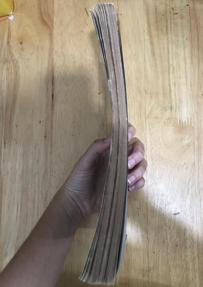 Straits Branch Royal Asiatic Society Journal, May 1919