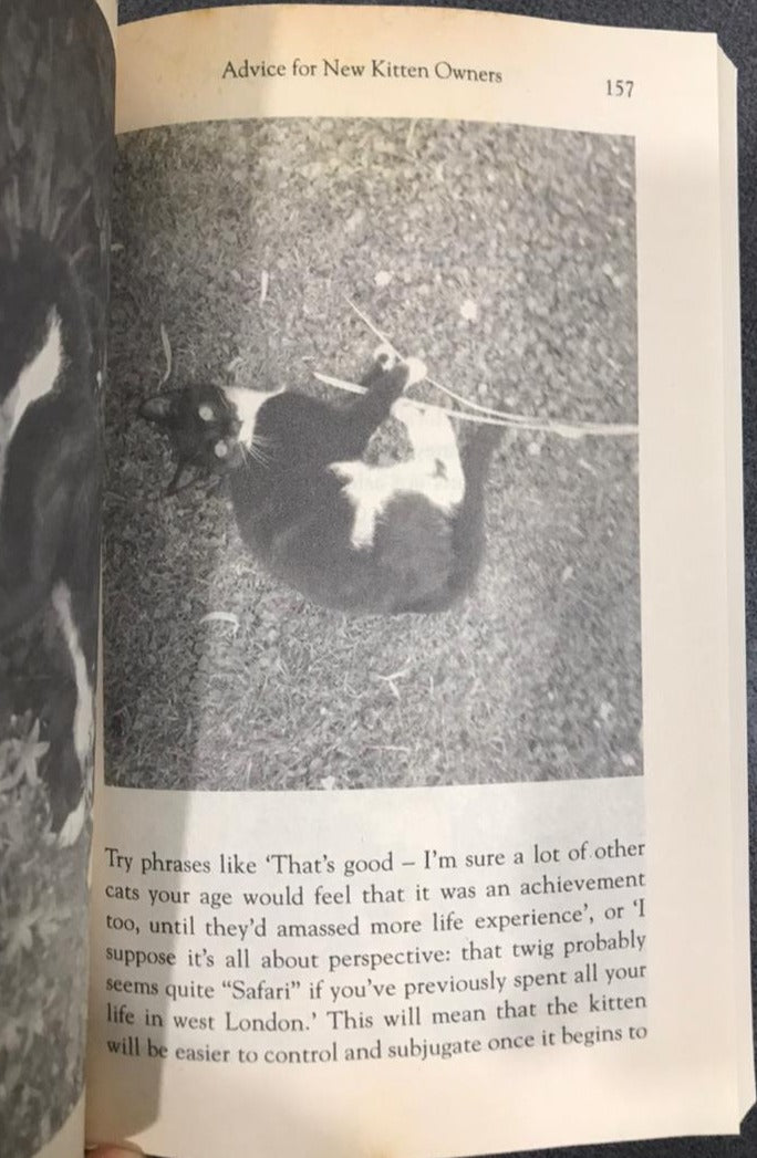 The Good, the Bad & the Furry: Life with the World's Most Melancholy Cat and Other Whiskery Friends