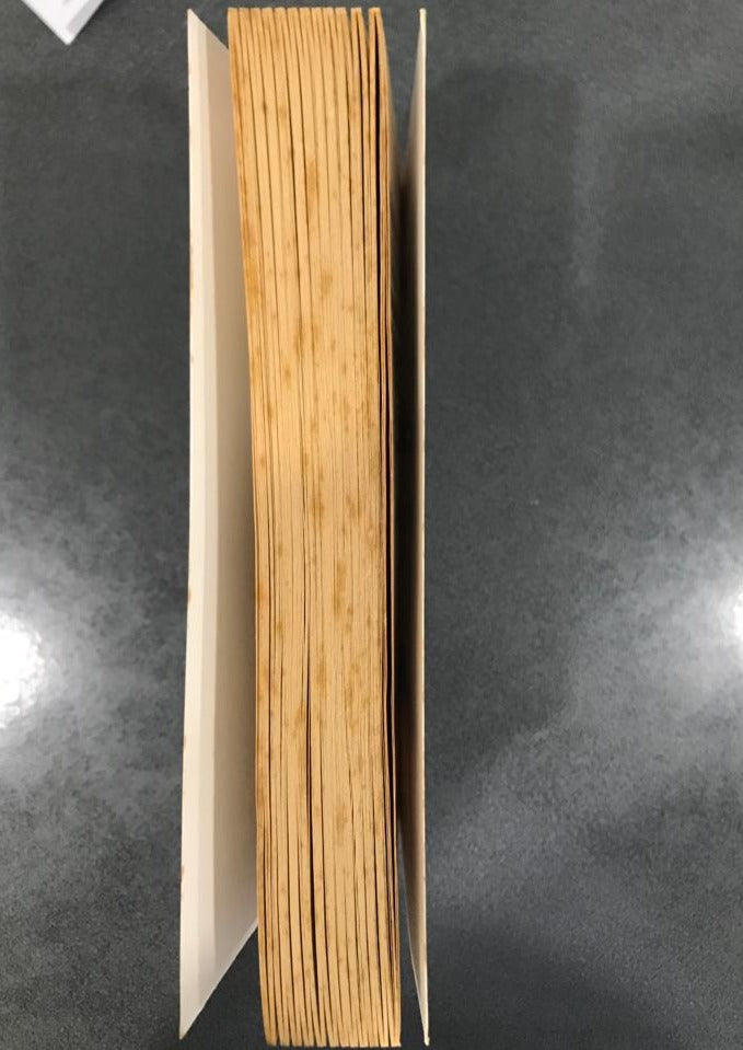 Dirk Gently's Holistic Detective Agency