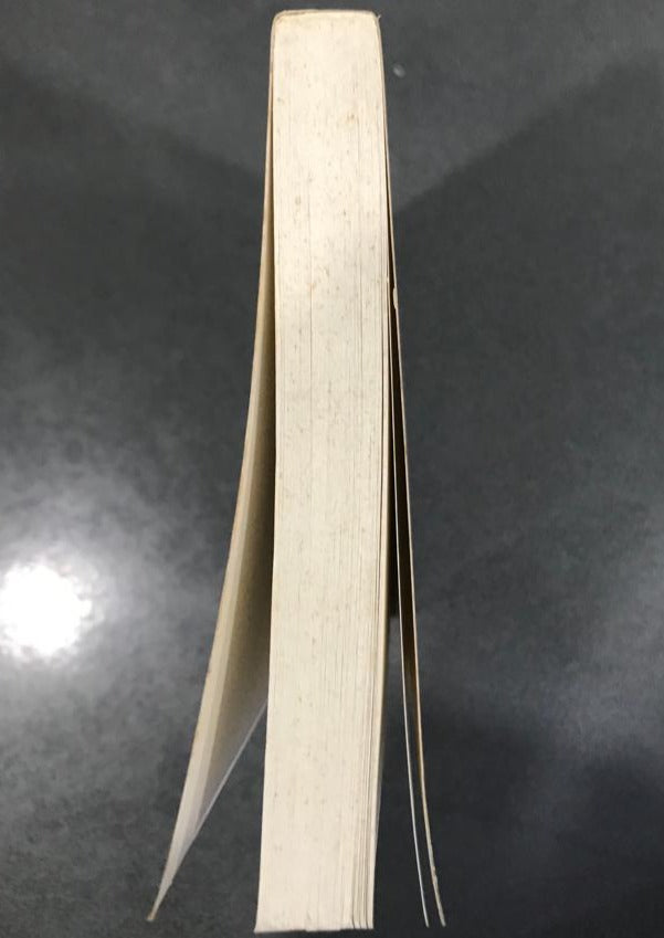 DeKok and the Geese of Death