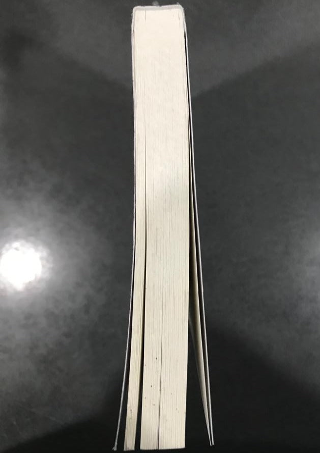 In the Vanishers’ Palace