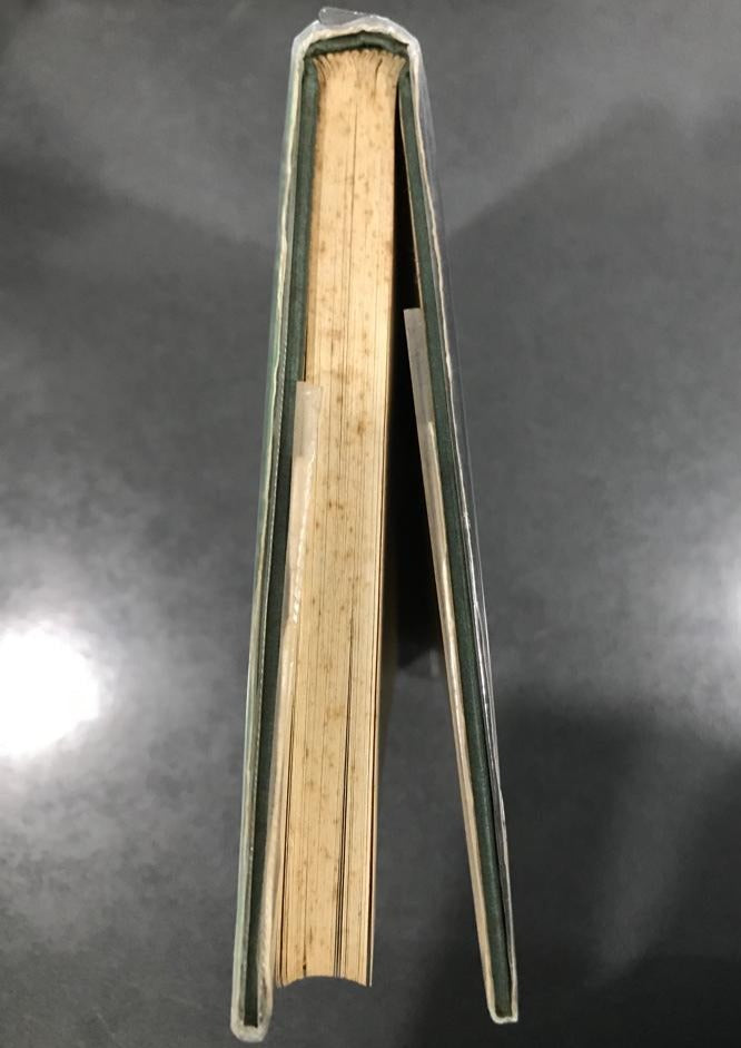 The Mystery and Horrible Murders of Sweeney Todd