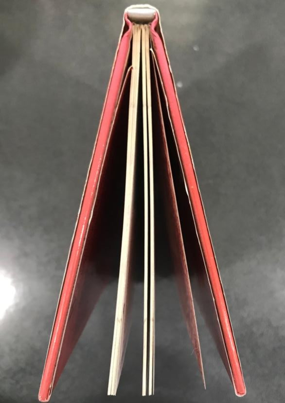 Feng Shui Fundamentals: Fame