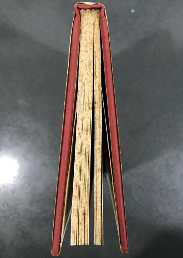 The Lost Dove: A Story for All Time