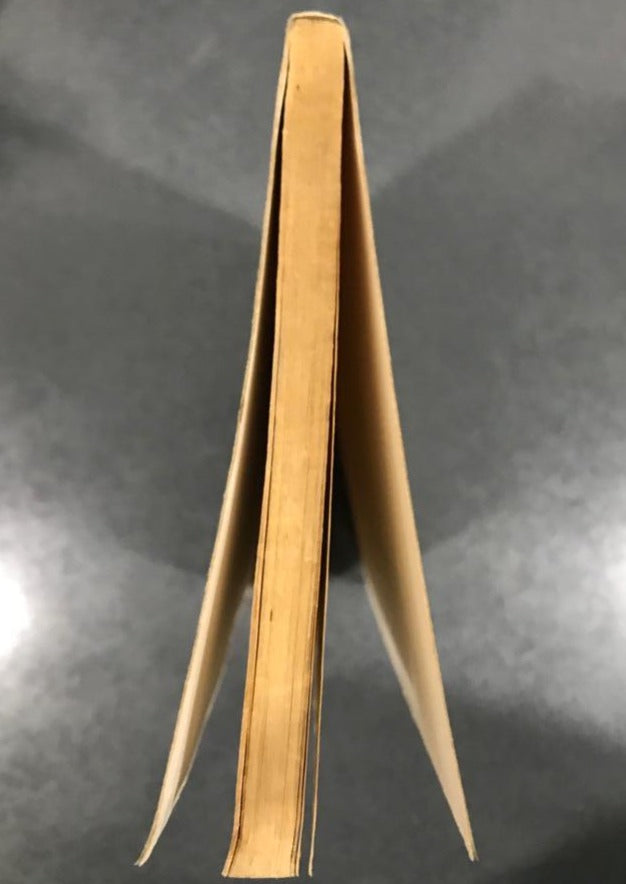 Bruises & the Shorewatchers' House