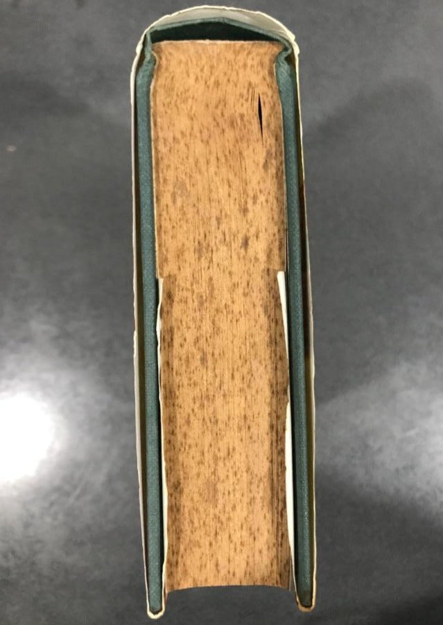 The Miracles of Santo Fico